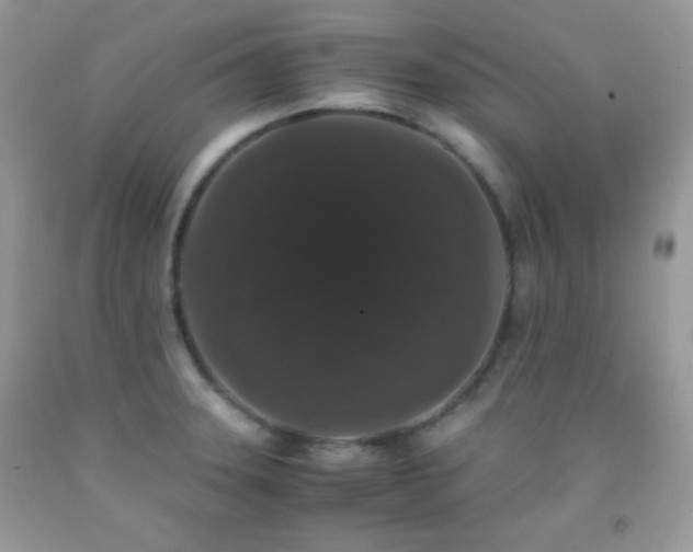 X0000092251331200709141140