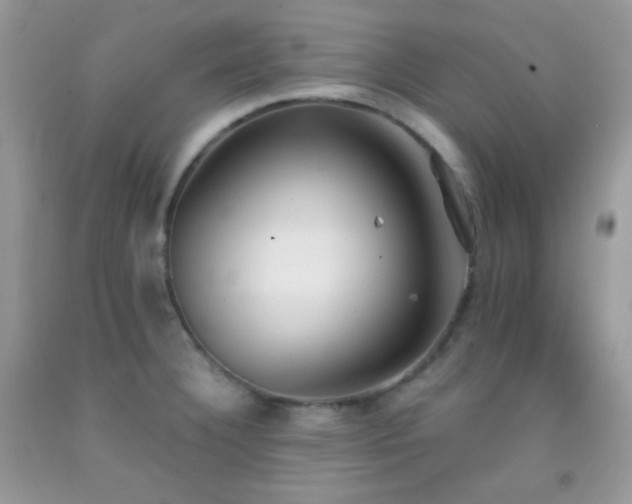 X0000092251332200709141140