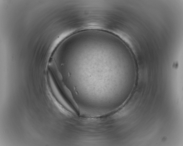 X0000092251333200709141140
