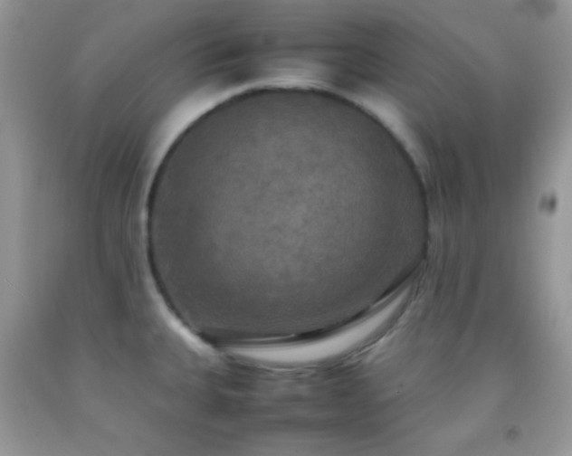 X0000092251335200709141140