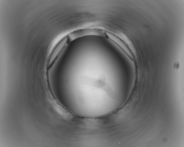 X0000092251336200709141140