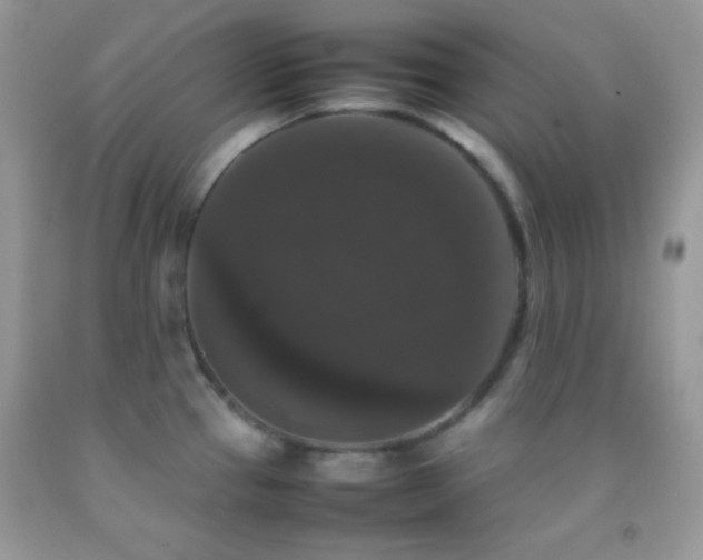 X0000092251337200709141140