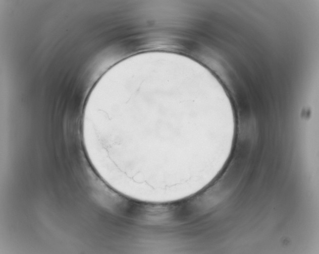 X0000092251338200709141140