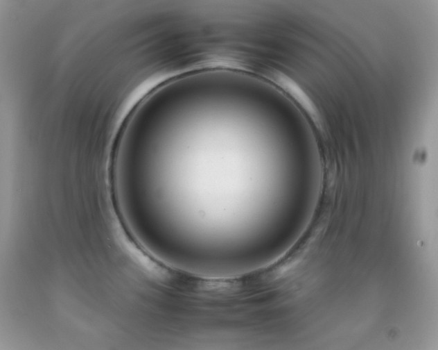 X0000092251339200709141140