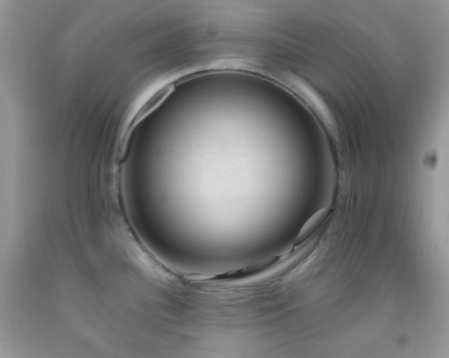 X0000092251340200709141140