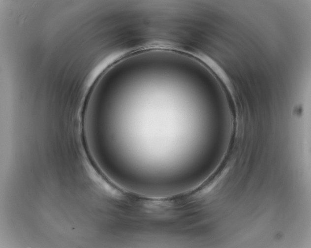 X0000092251341200709141140