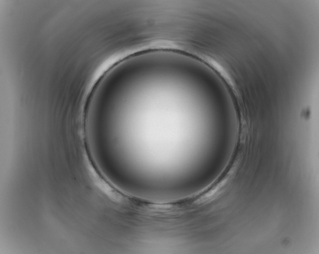 X0000092251342200709141140