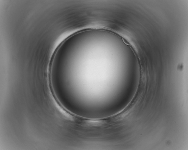 X0000092251343200709141140