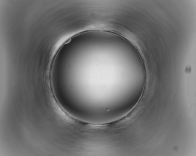 X0000092251344200709141140