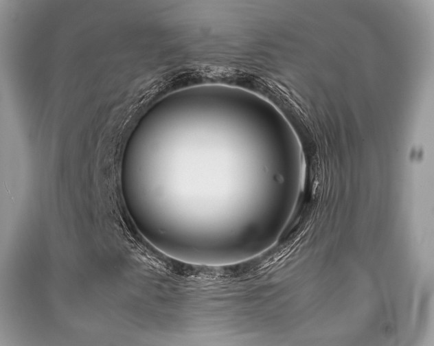 X0000092251345200709141140