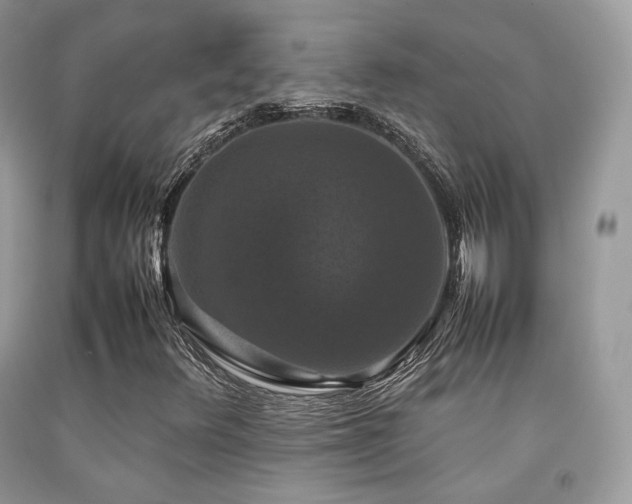X0000092251348200709141140