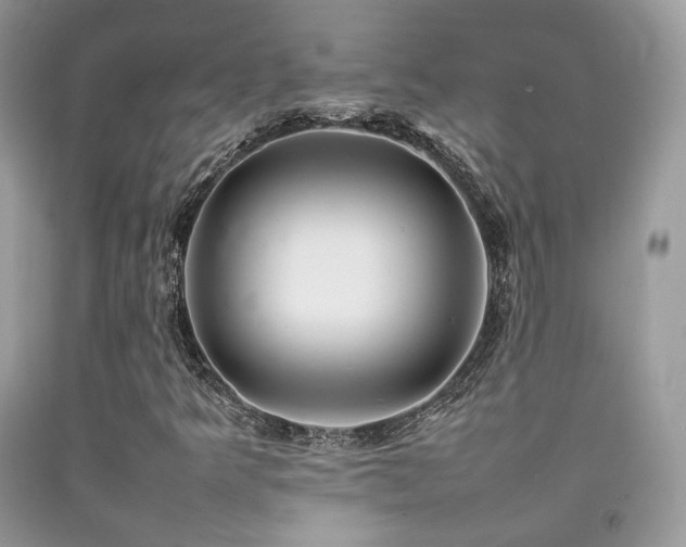 X0000092251349200709141140