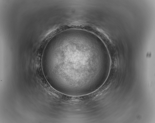 X0000092251350200709141140