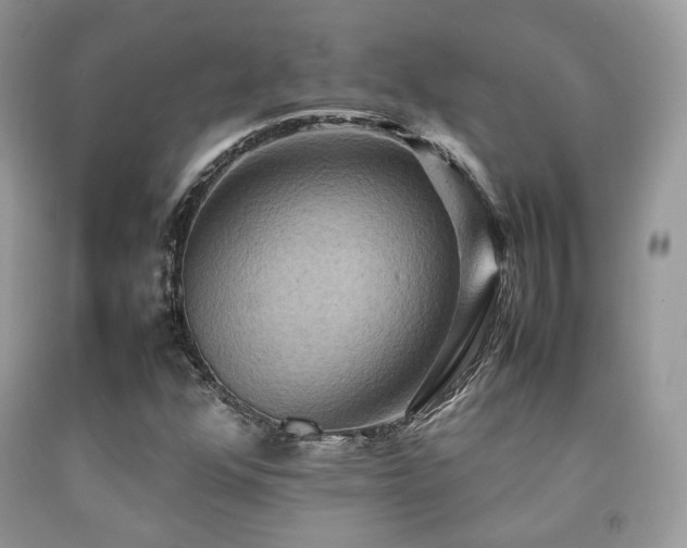 X0000092251352200709141140