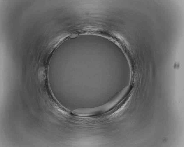 X0000092251353200709141140
