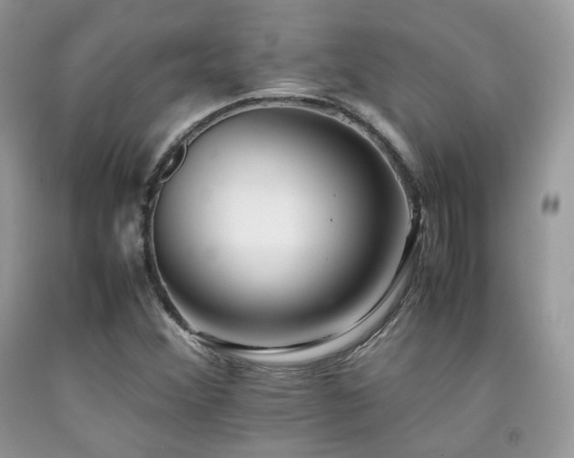 X0000092251356200709141139