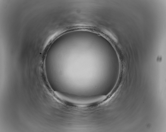 X0000092251357200709141139