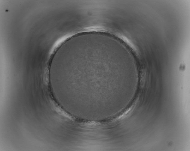 X0000092251358200709141139