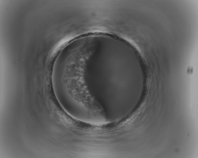 X0000092251359200709141139