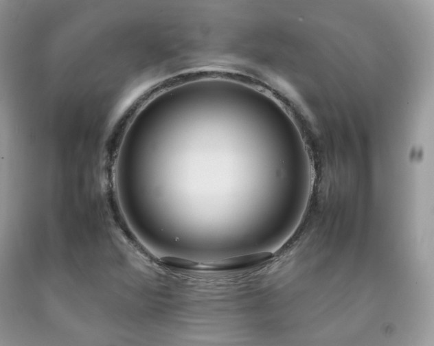 X0000092251360200709141139