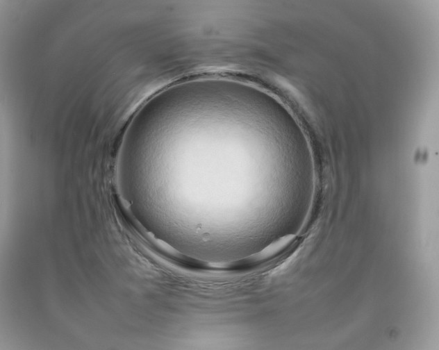 X0000092251361200709141139