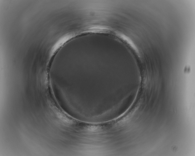 X0000092251362200709141139