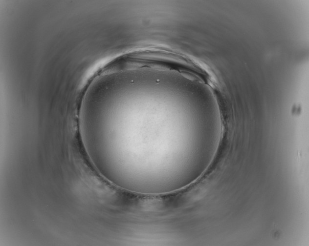 X0000092251363200709141139