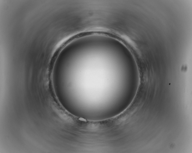 X0000092251364200709141139