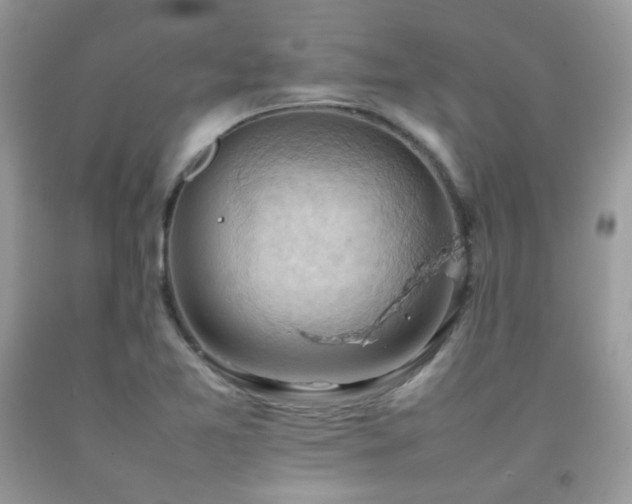 X0000092251365200709141139