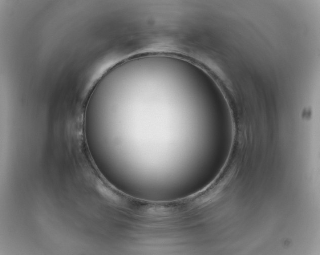 X0000092251366200709141139