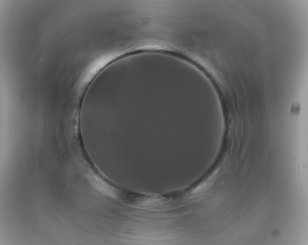 X0000092251367200709141139