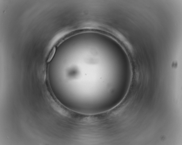 X0000092251368200709141139