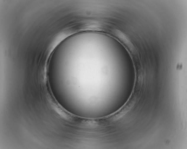 X0000092251370200709141139