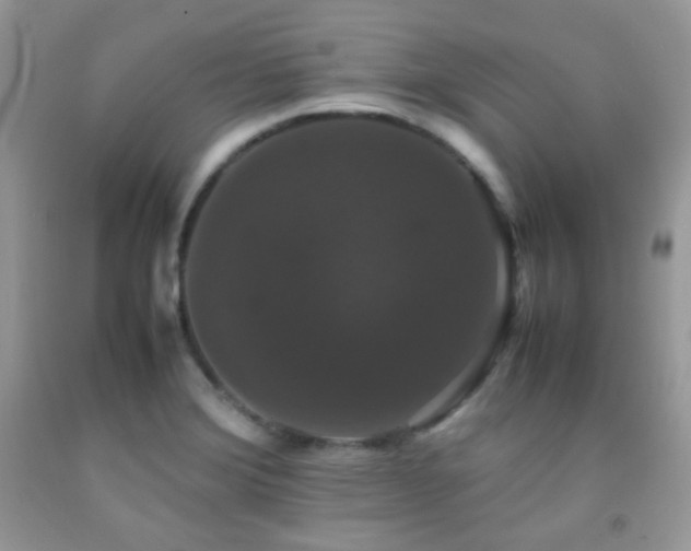 X0000092251372200709141139
