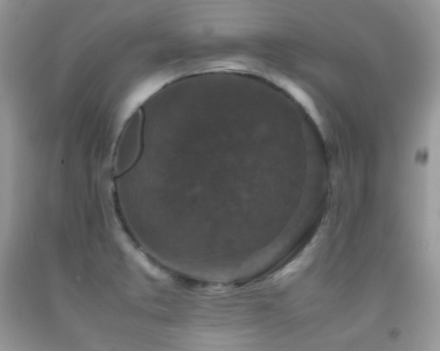 X0000092251373200709141139