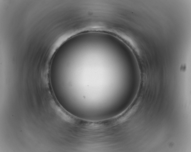 X0000092251374200709141139
