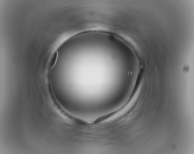 X0000092251375200709141139