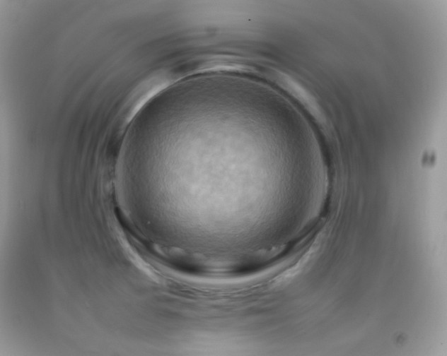 X0000092251377200709141139