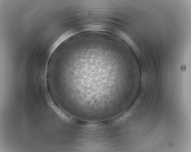 X0000092251378200709141139