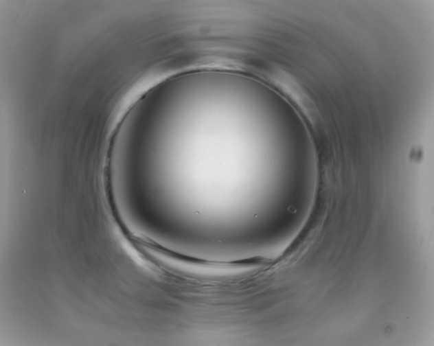 X0000092251379200709141139