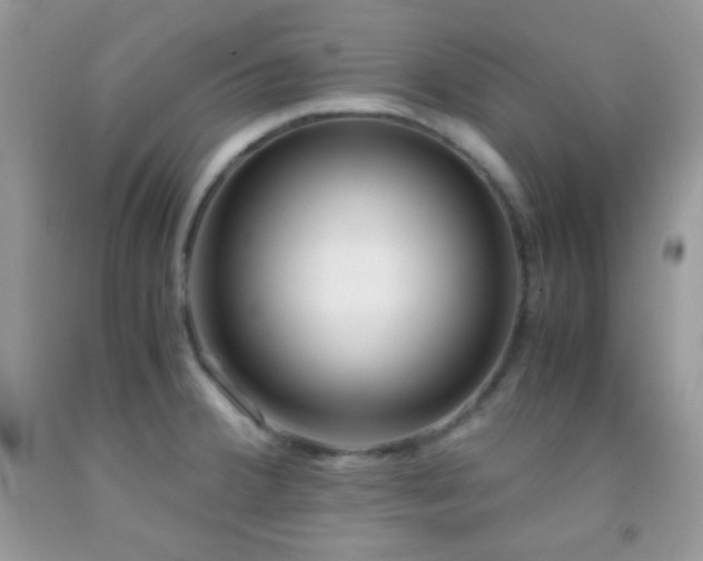 X0000092251380200709141139