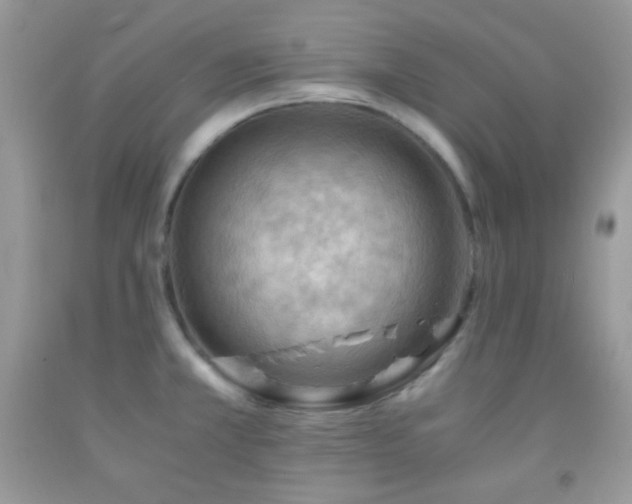 X0000092251381200709141139