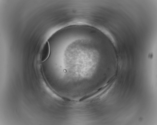X0000092251382200709141139