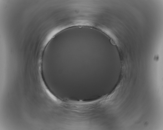 X0000092251383200709141139
