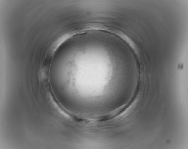 X0000092251385200709141139