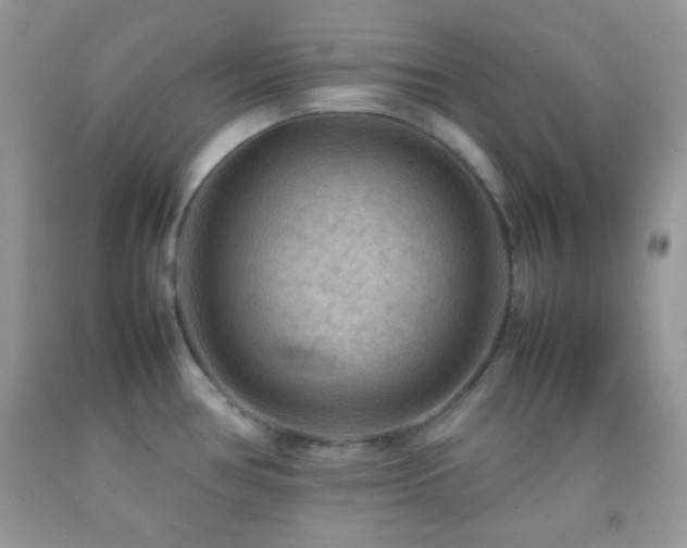 X0000092251386200709141139