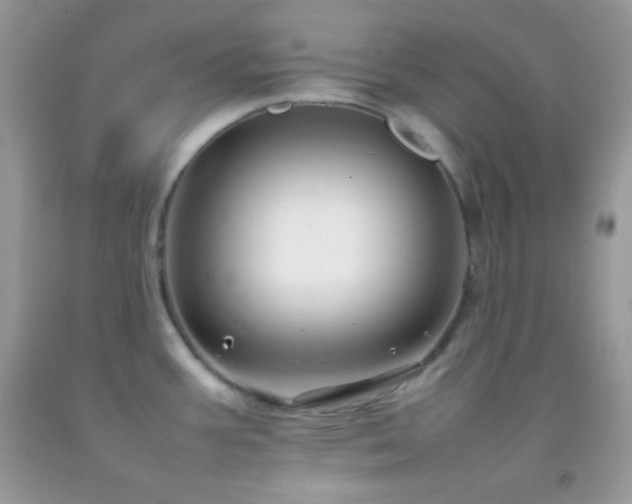 X0000092251387200709141139