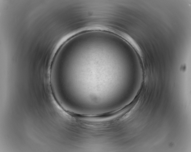 X0000092251388200709141139