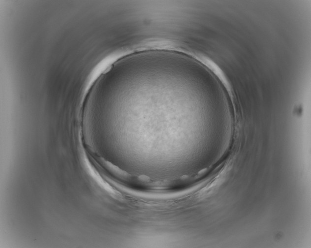X0000092251389200709141139