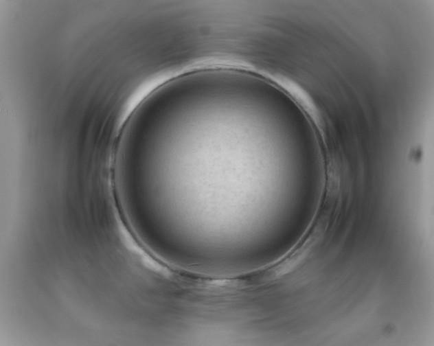 X0000092251390200709141139